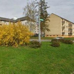 obrazek: avatar PÁTKOVÁ MILADA