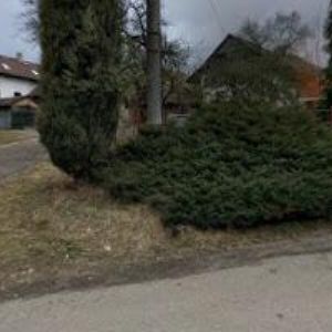obrazek: avatar NOVOTNÝ MAREK