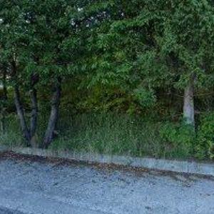 obrazek: avatar HALÍŘ MARTIN