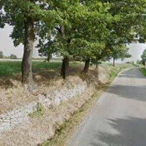 obrazek: avatar FIALA VLADISLAV