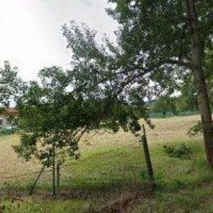 obrazek: avatar KUČERA JIŘÍ