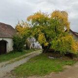 HYNEK VLASTIMIL-TRUHLÁŘSKÁ VÝROBA