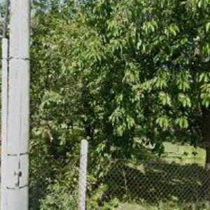 obrazek: avatar URBAN STANISLAV