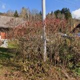 ŠIMON VLADIMÍR-TRUHLÁŘSTVÍ