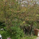 KOSTŘÍŽ PETR-PODLAHY