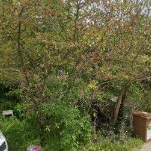 obrazek: avatar KOSTŘÍŽ PETR-PODLAHY