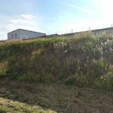 BURŠÍK PAVEL-KAMENOSOCHAŘSTVÍ