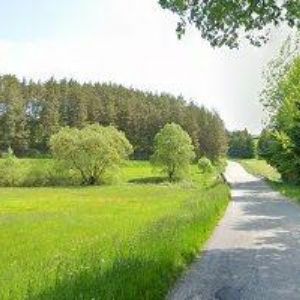 obrazek: avatar AUCOMO