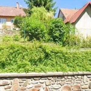 obrazek: avatar DATANETS