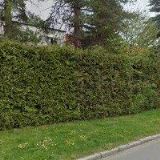 CHMELAŘ JAN-ČMELDA