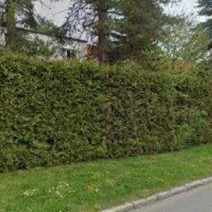 obrazek: avatar CHMELAŘ JAN-ČMELDA