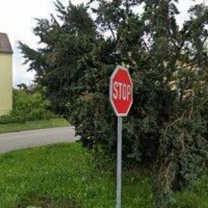 obrazek: avatar ŽÍPEK RUDOLF