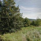 ŠMIDMAJEROVÁ ANDREA