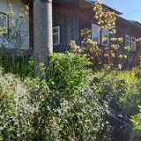 HAVLÍK ZDENĚK-ALPINES CENTRUM