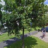 RYCHLÝ JAN-NOVEL CZ