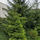 MOOSE , spol. s r.o.