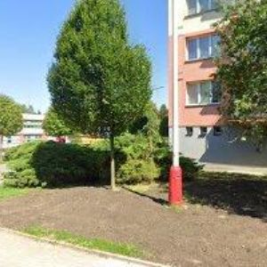 obrazek: avatar KROUŽILOVÁ DAGMAR-KARTY NELŽOU