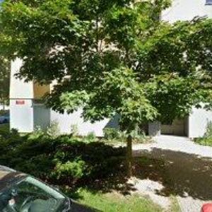 obrazek: avatar PLÁŠILOVÁ MARIE-VÝKLAD KARET