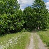 STAVITELSTÍ VESELSKÝ