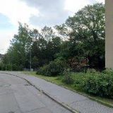 VOJTOVÁ PETRA Mgr., Ph.D.