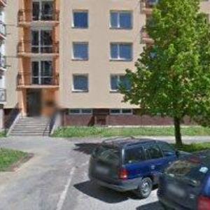 obrazek: avatar DOLEŽELOVÁ DITA-MOUDROST POCHOPENÍ