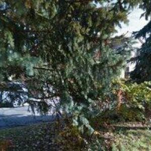 obrazek: avatar DATAS , s.r.o.