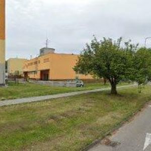 obrazek: avatar ŠUMAN PETR