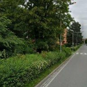 obrazek: avatar ČESKÉ TÁBORY.CZ