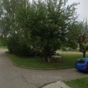 obrazek: avatar STŘECHY VOŠALÍK