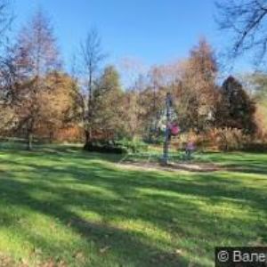 obrazek: avatar MAREK RENÉ