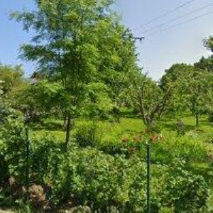 obrazek: avatar ZIKMUND MILAN