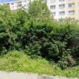 TOMAX WOOD MORÁVIA , s.r.o.