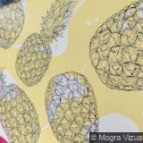 D.A.N. PRODUCTION , s.r.o.