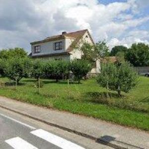 obrazek: avatar BRKALOVÁ MONIKA MgA.