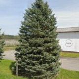 PAPUSPRINT spol. s r.o.