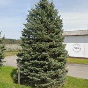 obrazek: avatar PAPUSPRINT spol. s r.o.