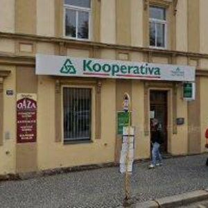 obrazek: avatar VOŇKOVÁ MARIE