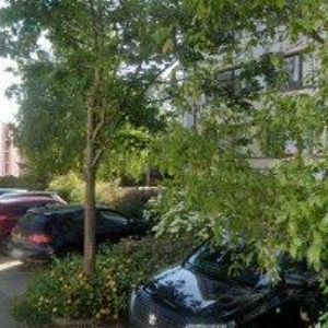 obrazek: avatar SALON SMARAGD