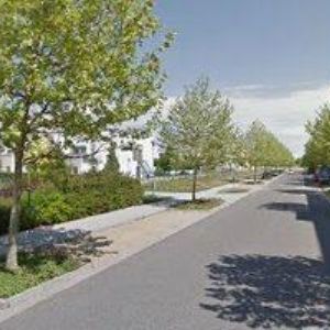 obrazek: avatar RAIMANOVÁ MIROSLAVA