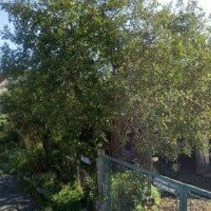 obrazek: avatar CHRAMOSTOVÁ ANETA