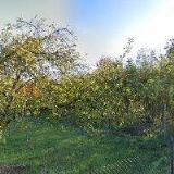 DÁRKOVÁ-KOSMETIKA.CZ