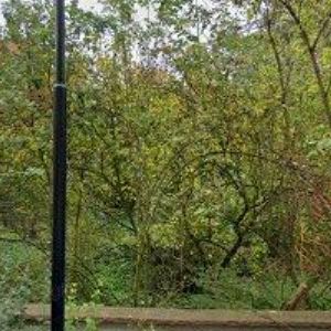 obrazek: avatar HARMONY WELLNESS CLUB