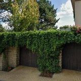 ALEX NEHTOVÉ STUDIO