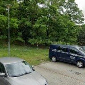 obrazek: avatar SVOJSÍKOVA JIŘINA