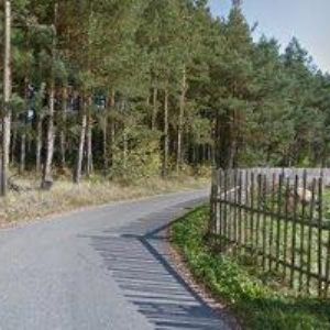 obrazek: avatar FLACHS PATRIK