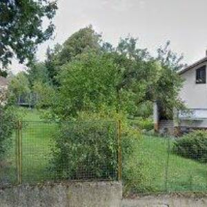 obrazek: avatar ANDEL KAMIL