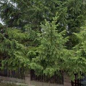 obrazek: avatar KRÁTKÝ PAVEL