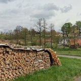 JUDA MIROSLAV-MILKSERVIS