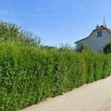 TOPENÍ-VODA-PLYN MOUREK