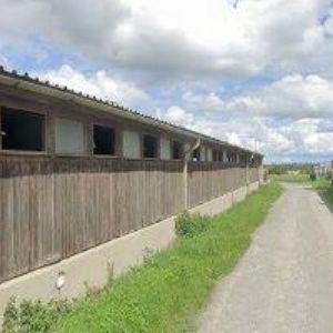 obrazek: avatar BETON FEJTA